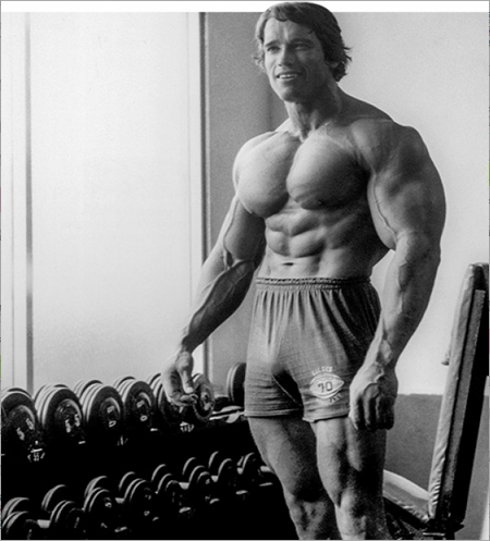 arnold-professional